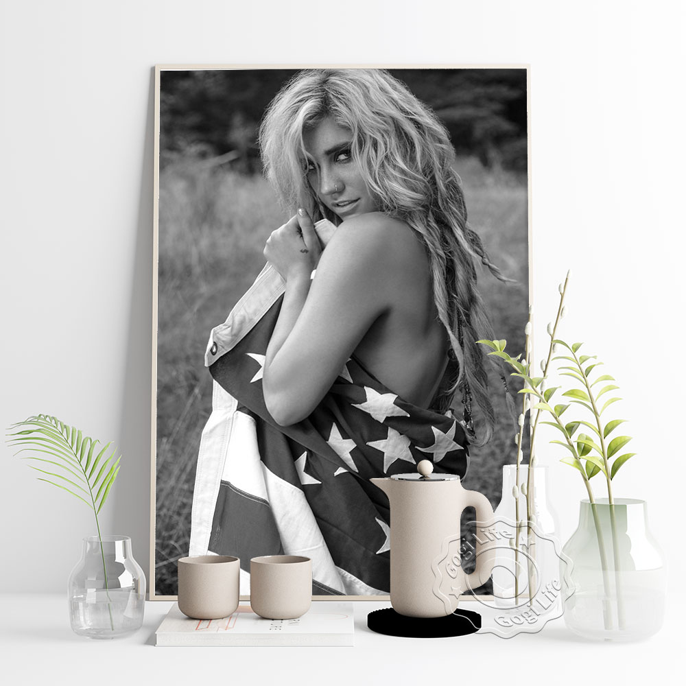 America Popular Music Singer K - Vintage Collectible Posters ulasan dan harga