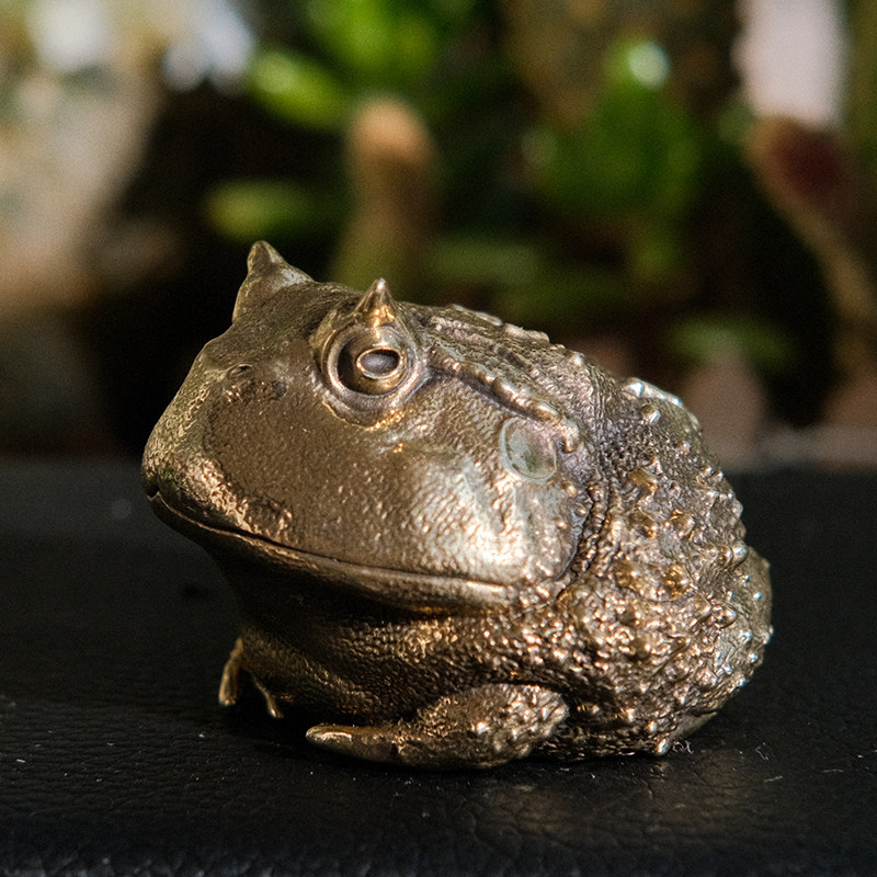 Vintage Brass Pacman Frog Orna - Vintage Collectible Furniture ulasan dan harga